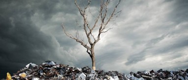 kaiyun（中国）一站式服务平台三和，设计更好用的垃圾桶